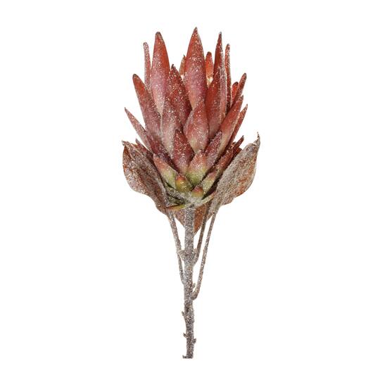 29.25" Red Protea Flower Stems, 2ct.